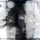 The MEGA-plate after 12 days. (Image: Harvard Medical School)